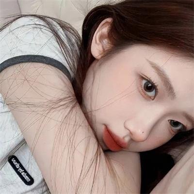 智叻狗仔队